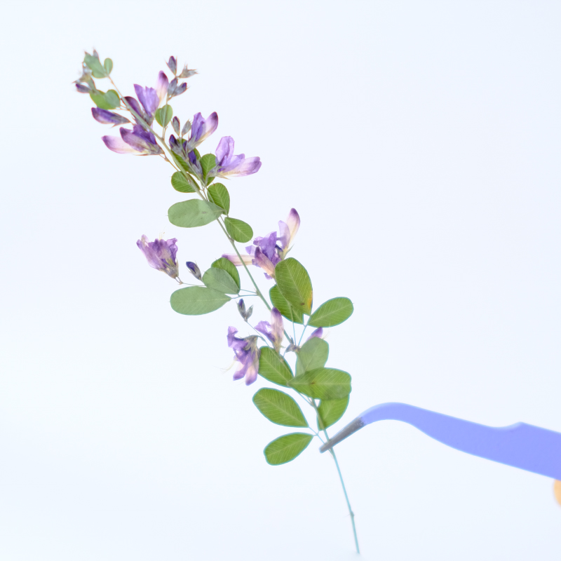 6 шт., натуральные сушеные пре – обзор и цена Dried Flower Bookmark