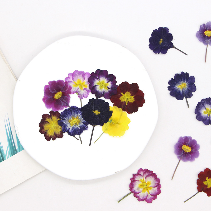48 шт. европейских прессованны – обзор и цена Dried Flower Bookmark