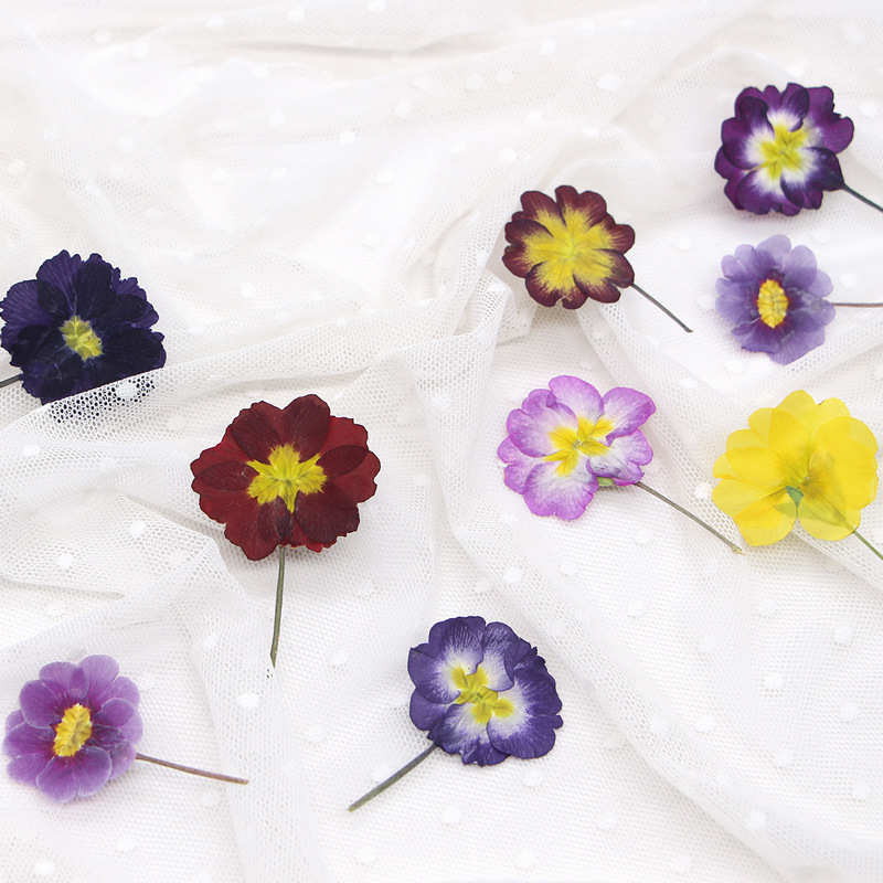 48 шт. европейских прессованны – обзор и цена Dried Flower Bookmark